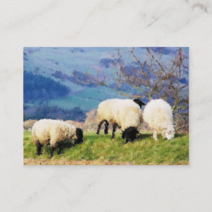SHEEP BUSINESS CARD