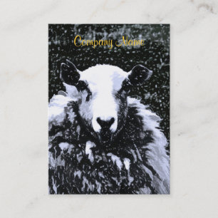 SHEEP BUSINESS CARD