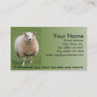 Sheep Business Card