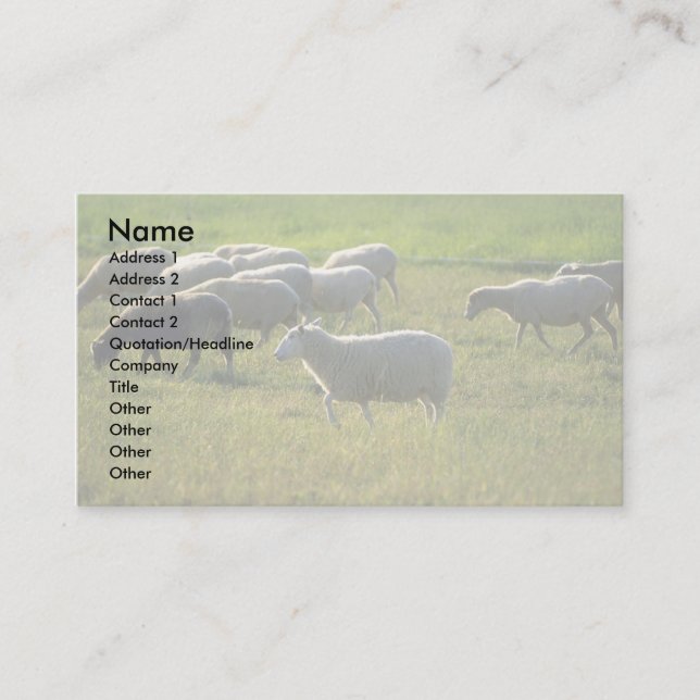 Sheep Business Card (Front)