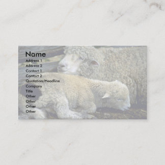 Sheep Business Card