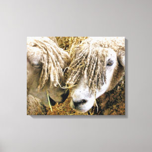 SHEEP CANVAS PRINT