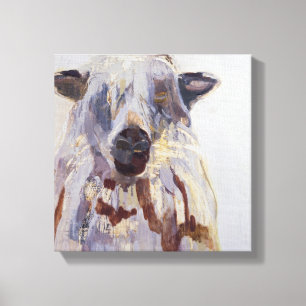 Sheep Canvas Print
