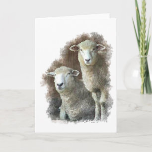 Sheep Card