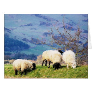 SHEEP card