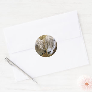 SHEEP CLASSIC ROUND STICKER
