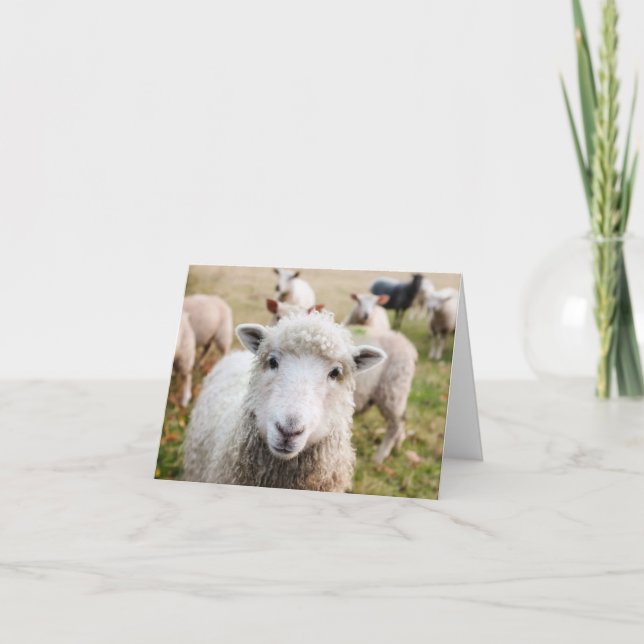 Sheep Custom Thank You Card (Front)