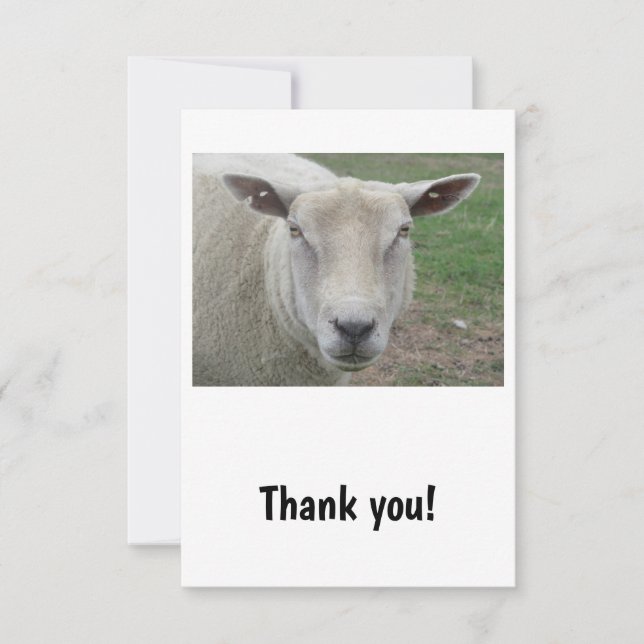 Sheep Design Thank You Card (Front)