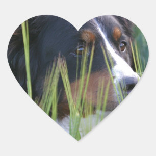 Sheep Dog in Grass Heart Sticker