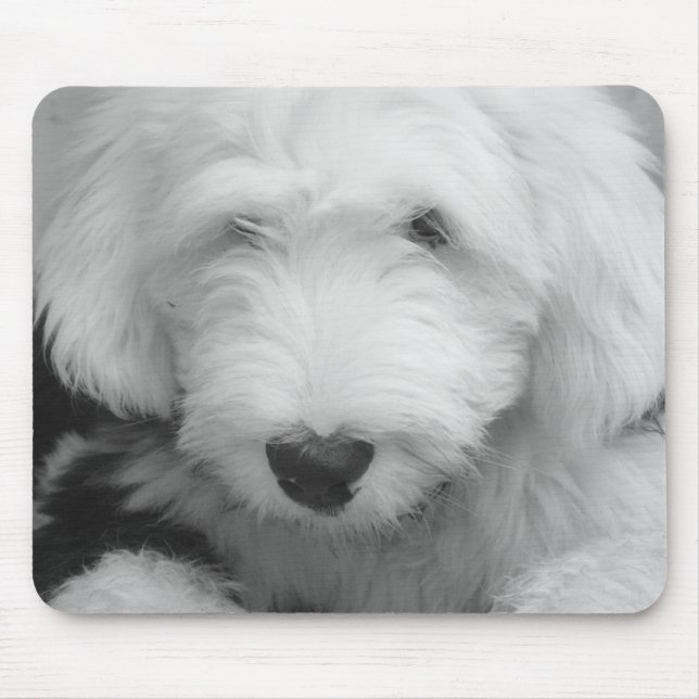 Sheep Dog Photo Mouse Pad (Front)