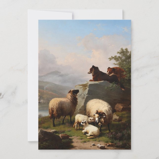 Sheep Dogs Guarding the Sheep, Overlooking River Holiday Card (Front)