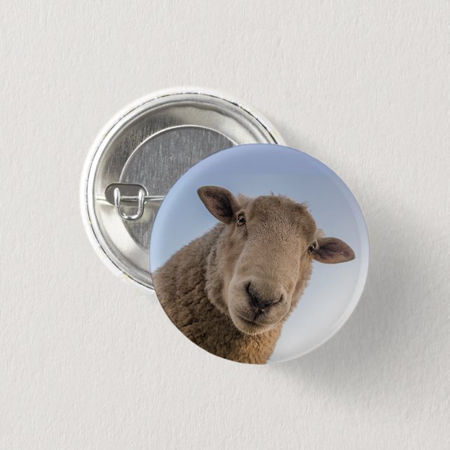 Sheep Face Close-up Looking Down 1 Inch Round Button (Front & Back)