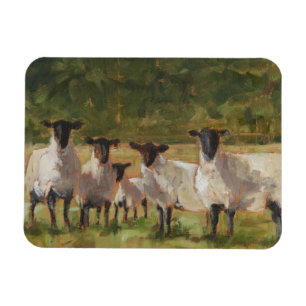 Sheep Family Magnet
