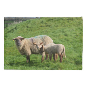 Sheep Family Pillowcase