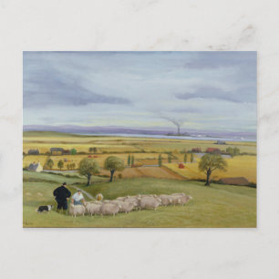 Sheep Farmer Isle of Sheppey Postcard