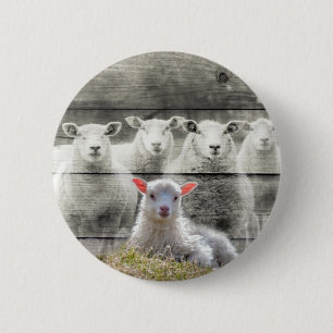 Sheep Flock Baby Lamb 2 Inch Round Button