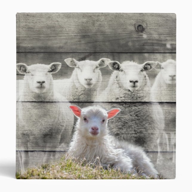Sheep Flock Baby Lamb Binder (Front)