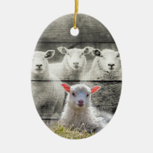 Sheep Flock Baby Lamb Ceramic Ornament