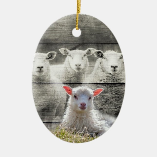 Sheep Flock Baby Lamb Ceramic Ornament (Front)
