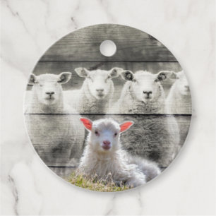 Sheep Flock Baby Lamb Favour Tags