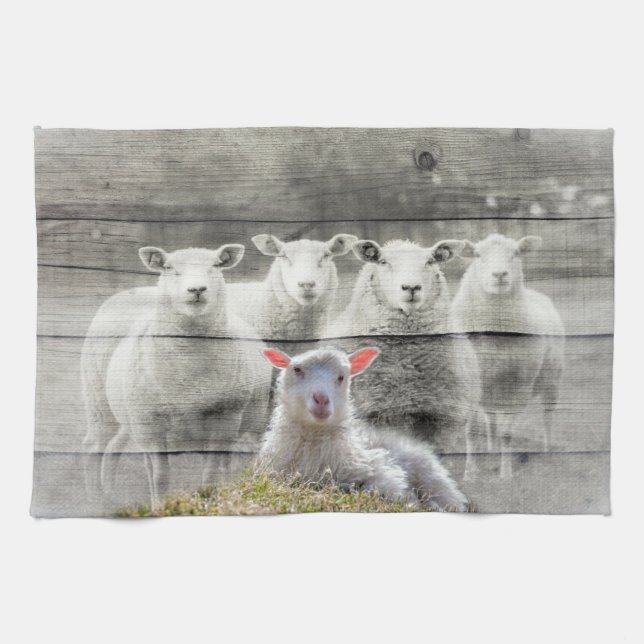 Sheep Flock Baby Lamb Kitchen Towel (Horizontal)