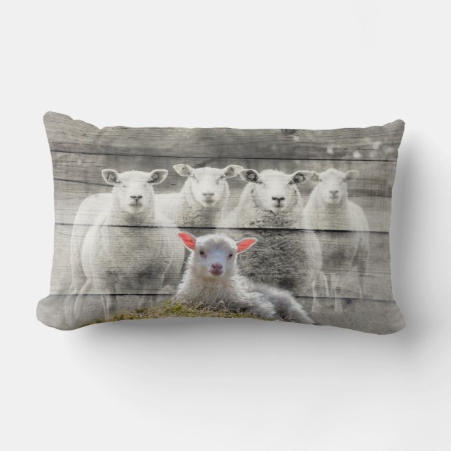 Sheep Flock Baby Lamb Lumbar Pillow (Front)