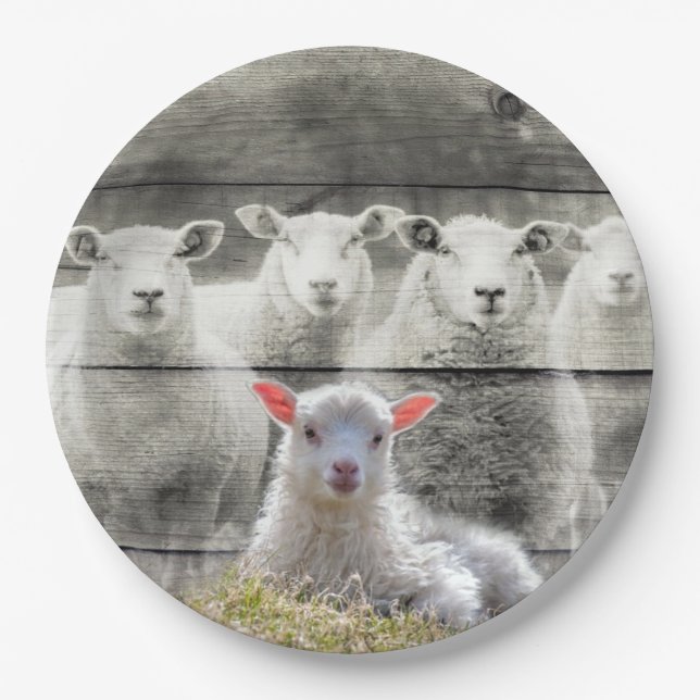 Sheep Flock Baby Lamb Paper Plate (Front)