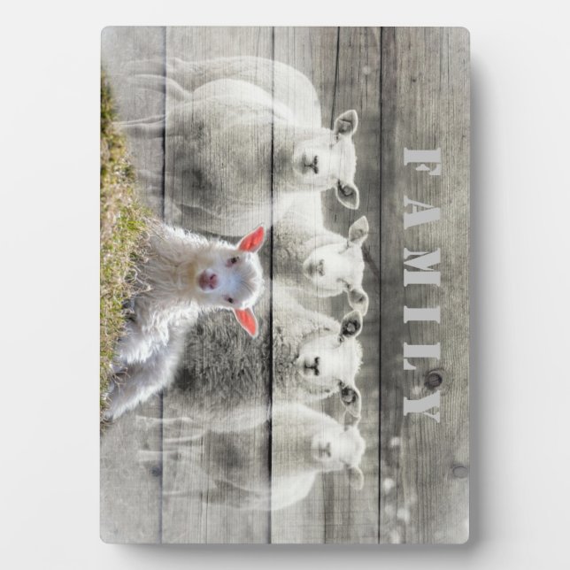 Sheep Flock Baby Lamb Plaque (Front)