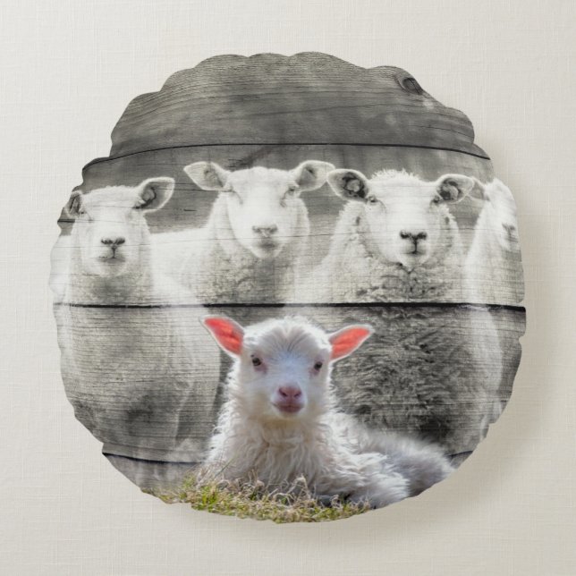 Sheep Flock Baby Lamb Round Pillow (Front)