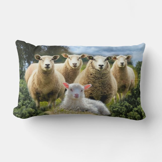 Sheep Flock Sheep Herd Baby Lamb Lumbar Pillow (Front)