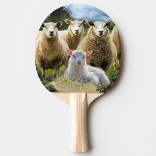 Sheep Flock Sheep Herd Baby Lamb Ping Pong Paddle (Front)