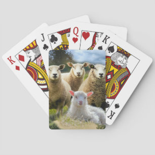 Sheep Flock Sheep Herd Baby Lamb Playing Cards