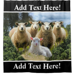 Sheep Flock Sheep Herd Baby Lamb Sheep Farm