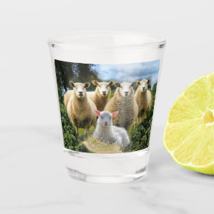 Sheep Flock Sheep Herd Baby Lamb Shot Glass