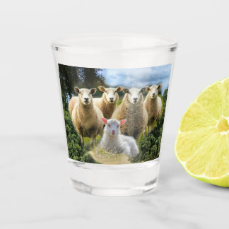 Sheep Flock Sheep Herd Baby Lamb Shot Glass