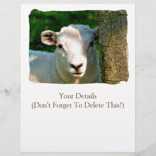 SHEEP FLYER