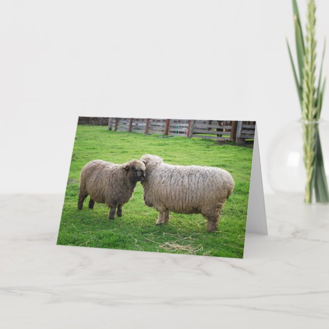 Sheep friends card (Front)