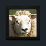 SHEEP GIFT BOX<br><div class="desc">A photographic design of a cute sheep.</div>