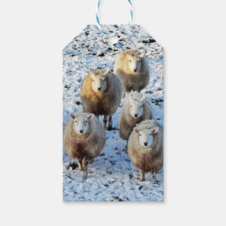 Sheep Gift Tags