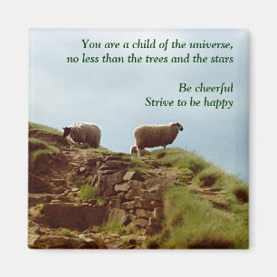 Sheep graze on a Mountain Desiderata Magnet