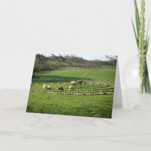 Sheep Grazing a Labyrinth - Calmness Card