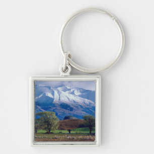 Sheep grazing below the snow-capped Harris Keychain