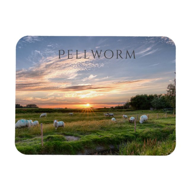 Sheep Grazing, Sunset, Pellworm Island, Germany Magnet (Horizontal)