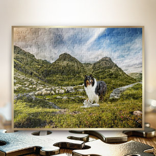 Sheep Herding Tricolor Rough Collie in Highlands - Jigsaw Puzzle