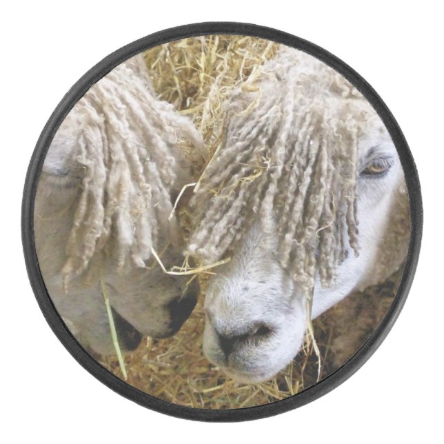 SHEEP    HOCKEY PUCK (Front)