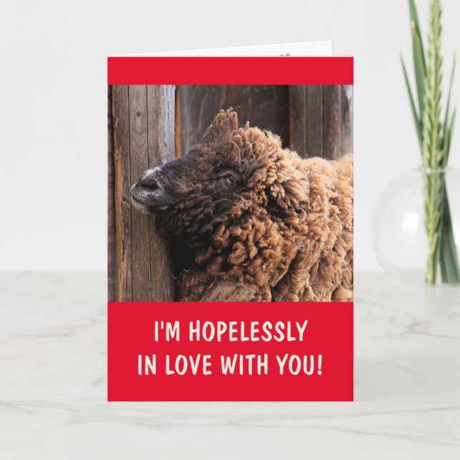 Sheep Hopelessly In Love Valentine's Day Card (Front)
