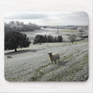 Sheep in a frosty valley mouse pad