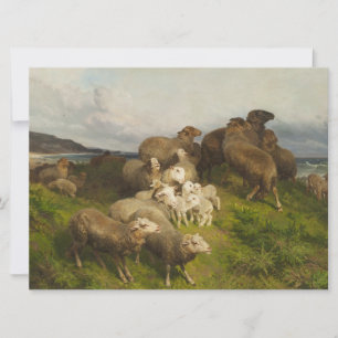 Sheep in a Meadow (by August Friedrich Schenck) Card