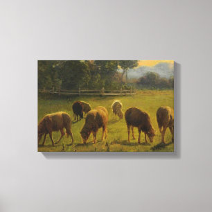 Sheep in a Rural Landscape (by Rosa Bonheur) Canvas Print