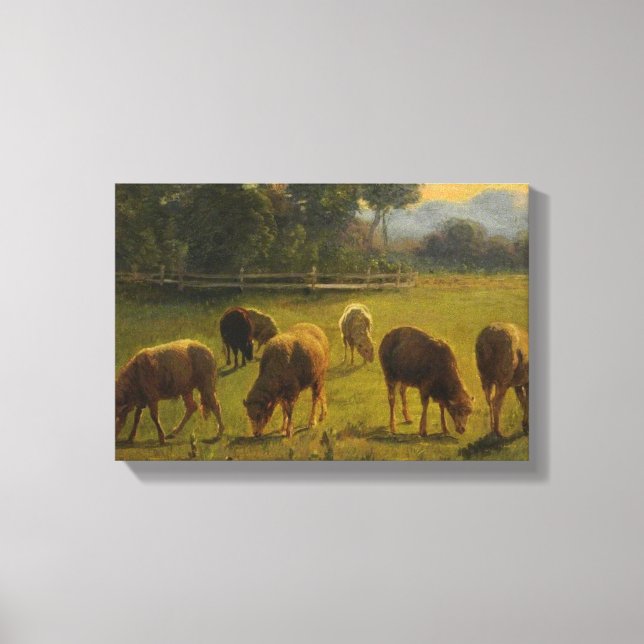 Sheep in a Rural Landscape (by Rosa Bonheur) Canvas Print (Front)